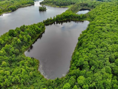 Papoose Lake Acreage Sale Pending in Presque Isle Wisconsin