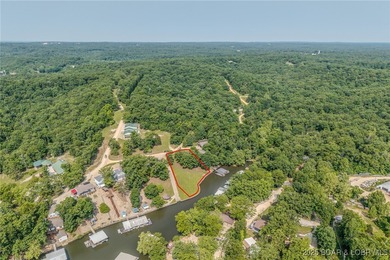 ABSOLUTELY GEORGOUS lake front building lot that is just over - photo 3