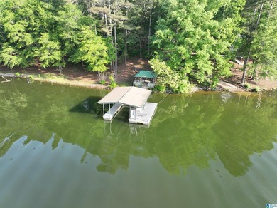 Rare lakefront opportunity on beautiful Lake Wedowee! This - photo 11