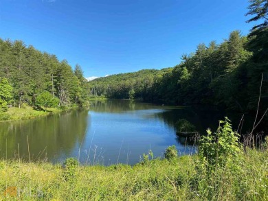 (private lake, pond, creek) Acreage For Sale in Clarkesville Georgia