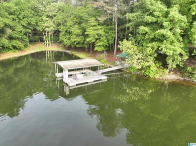 Rare lakefront opportunity on beautiful Lake Wedowee! This - photo 13