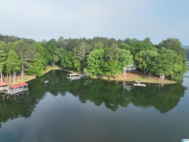Rare lakefront opportunity on beautiful Lake Wedowee! This - photo 15