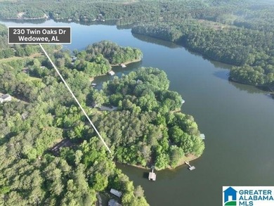 Rare lakefront opportunity on beautiful Lake Wedowee! This - photo 16