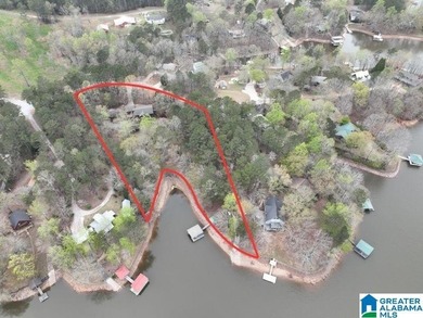 Rare lakefront opportunity on beautiful Lake Wedowee! This - photo 19