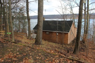 Lake Home For Sale in Rock Stream, New York