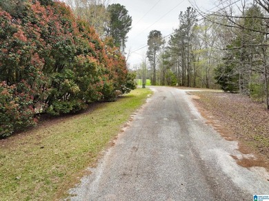 Rare lakefront opportunity on beautiful Lake Wedowee! This - photo 48