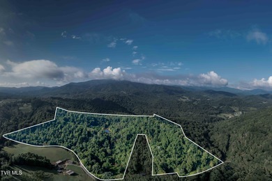 (private lake, pond, creek) Acreage For Sale in Roan Mountain Tennessee