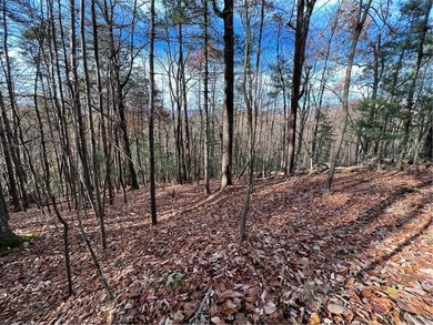 Lake Dakwa Lot Sale Pending in Ellijay Georgia