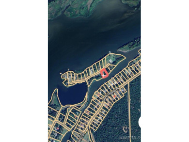 Lake Lot Sale Pending in Camden, Alabama