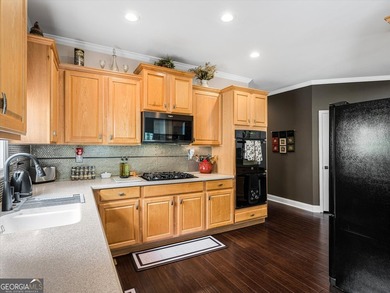 Welcome home to 4564 Austin Hills Dr, nestled in the - photo 19