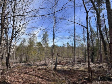 This 30.67 acre residential building lot is ready for your next - photo 1