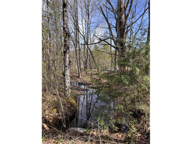This 30.67 acre residential building lot is ready for your next - photo 2