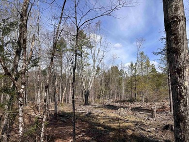 This 30.67 acre residential building lot is ready for your next - photo 3