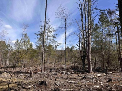 This 30.67 acre residential building lot is ready for your next - photo 4