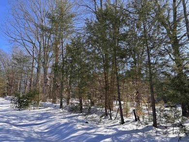 This 30.67 acre residential building lot is ready for your next - photo 5