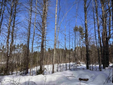 This 30.67 acre residential building lot is ready for your next - photo 6