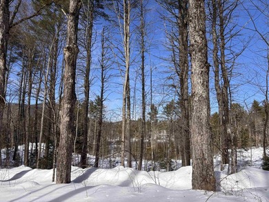 This 30.67 acre residential building lot is ready for your next - photo 7