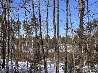This 30.67 acre residential building lot is ready for your next - photo 8