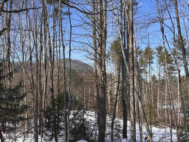 This 30.67 acre residential building lot is ready for your next - photo 9
