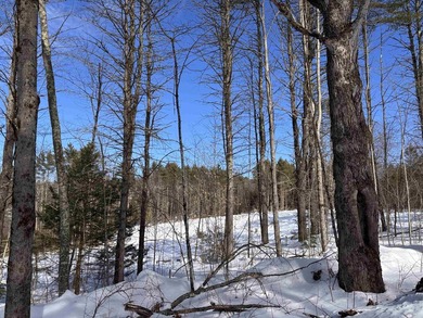 This 30.67 acre residential building lot is ready for your next - photo 10