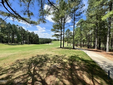 Views of # 9 and #1 Fairways! Triple A Homes, a local expert - photo 3