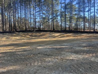 Views of # 9 and #1 Fairways! Triple A Homes, a local expert - photo 4