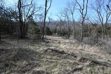 This 25+/- acre tract is located near Brumley in Miller County - photo 3