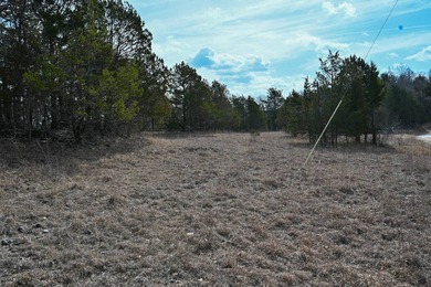 This 25+/- acre tract is located near Brumley in Miller County - photo 4