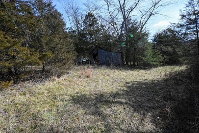 This 25+/- acre tract is located near Brumley in Miller County - photo 5