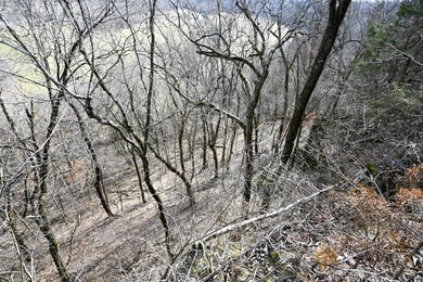This 25+/- acre tract is located near Brumley in Miller County - photo 7