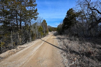 This 25+/- acre tract is located near Brumley in Miller County - photo 9