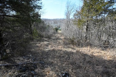 This 25+/- acre tract is located near Brumley in Miller County - photo 10