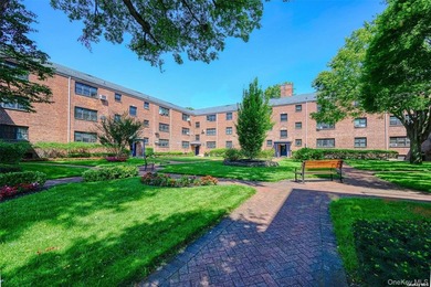 Pristine 1-Bedroom Co-Op Adjacent to the Village Green - photo 1