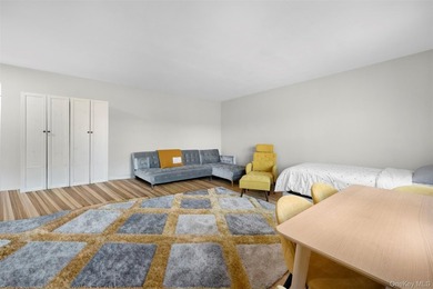 Pristine 1-Bedroom Co-Op Adjacent to the Village Green - photo 7