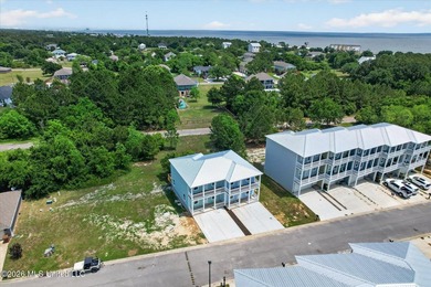 Discover your slice of the Gulf Coast at 78 Oak Alley Lane in - photo 48