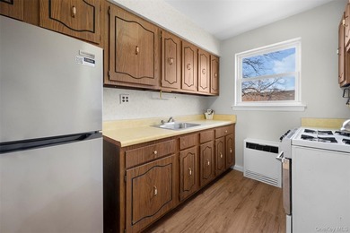 Pristine 1-Bedroom Co-Op Adjacent to the Village Green - photo 10