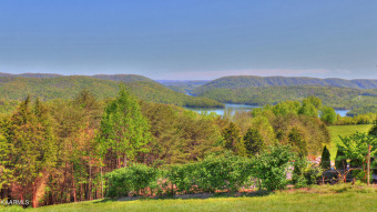 Lot 467 Smoky Quartz Blvd: This .6 acre lot offers one of the - Lake Lot For Sale in New Tazewell, Tennessee