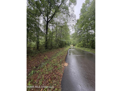 This 25.82+/- acres in Copiah County is certain to entertain - photo 11