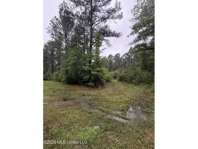 This 25.82+/- acres in Copiah County is certain to entertain - photo 12