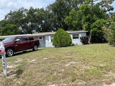 Lake Dora Home For Sale in Mount Dora Florida