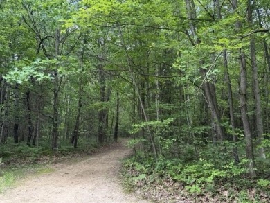 Lake Acreage For Sale in Gladwin, Michigan