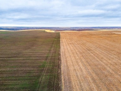Introducing the Kiowa Creek Panhandle Ranch, a 2,890.57 +/- acre - photo 11