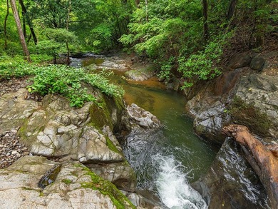 COSTA RICA: 1300+ acres of pristine Jungle/Forest/Valleys in the - photo 11
