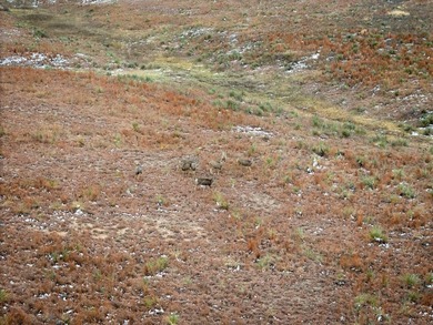 Introducing the Kiowa Creek Panhandle Ranch, a 2,890.57 +/- acre - photo 12