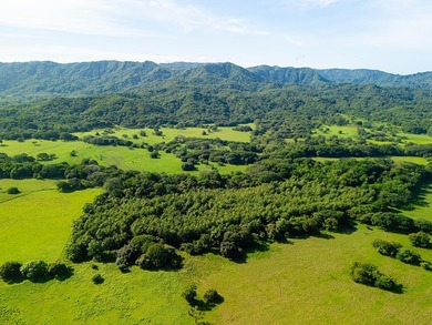COSTA RICA: 1300+ acres of pristine Jungle/Forest/Valleys in the - photo 14