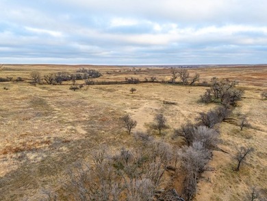Introducing the Kiowa Creek Panhandle Ranch, a 2,890.57 +/- acre - photo 15
