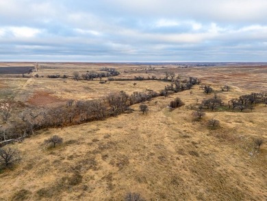 Introducing the Kiowa Creek Panhandle Ranch, a 2,890.57 +/- acre - photo 17
