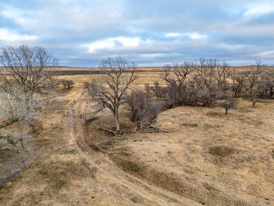 Introducing the Kiowa Creek Panhandle Ranch, a 2,890.57 +/- acre - photo 18