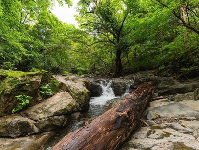 COSTA RICA: 1300+ acres of pristine Jungle/Forest/Valleys in the - photo 18