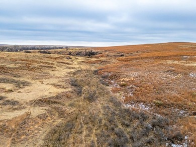 Introducing the Kiowa Creek Panhandle Ranch, a 2,890.57 +/- acre - photo 20